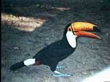 2001.59