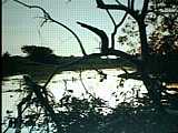 2001.69