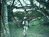 2001.70