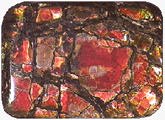 ammolite