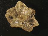 chryso